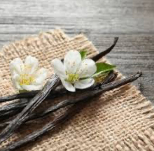ORGANIC WHIPPED VANILLA SHEA BUTTER